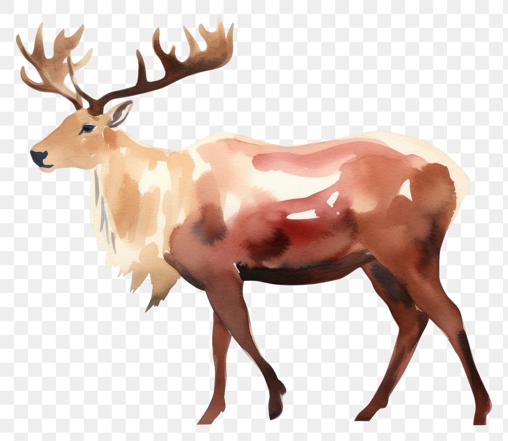 PNG  Reindeer wildlife drawing animal. AI generated Image by rawpixel.