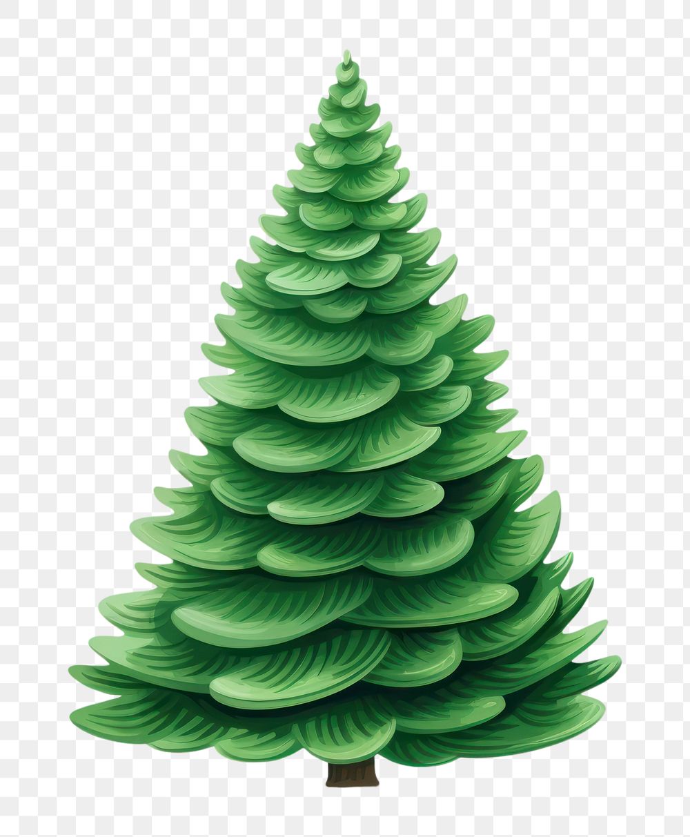 PNG Christmas tree christmas plant green. AI generated Image by rawpixel.