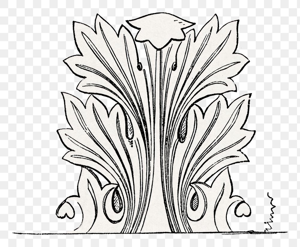 PNG vintage botanical leaf ornament element, transparent background