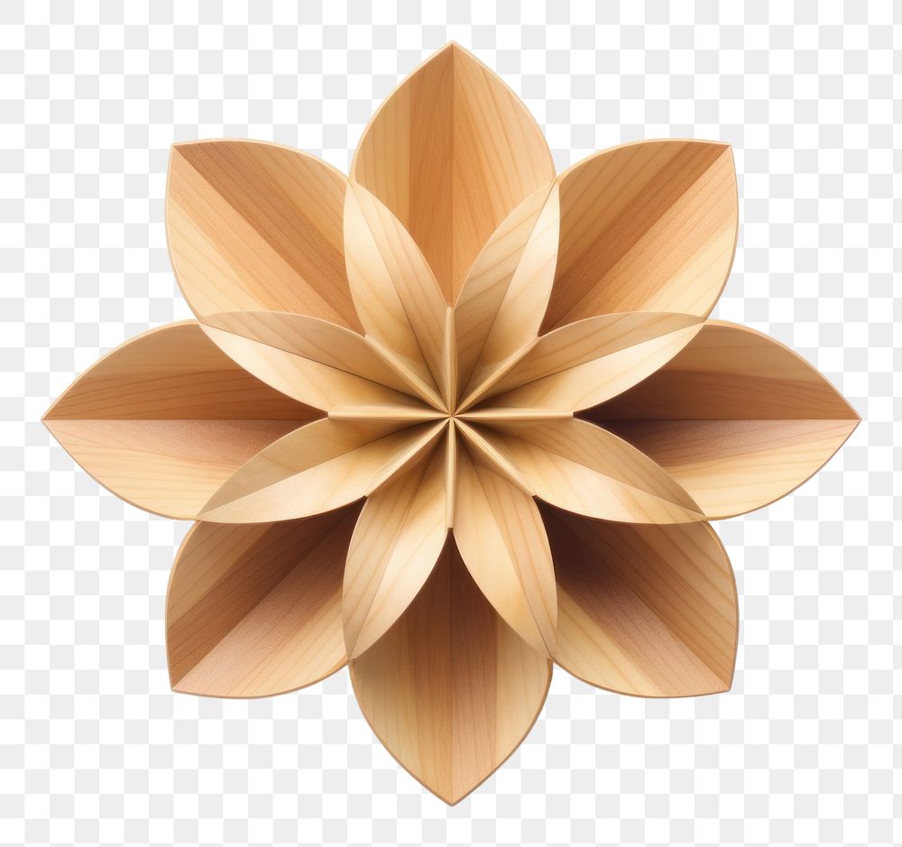 3D flower shape wood paper plant. 