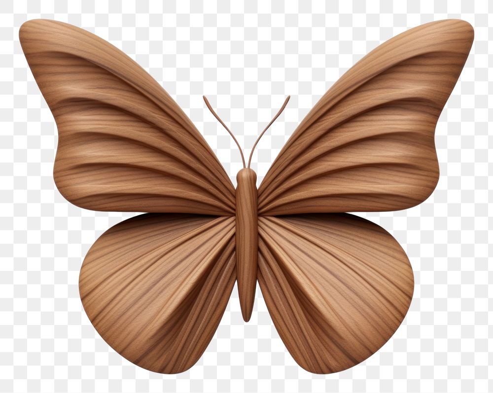Butterfly shape insect animal moth. AI generated Image by rawpixel.
