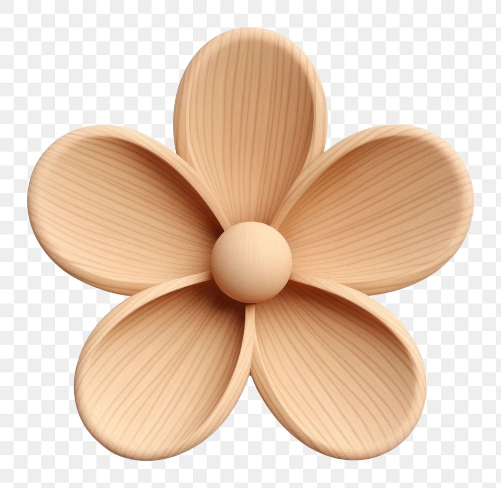 Daisy flower shape wood white background accessories. 
