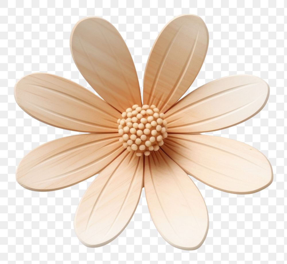 Daisy shape flower brooch plant. AI generated Image by rawpixel.