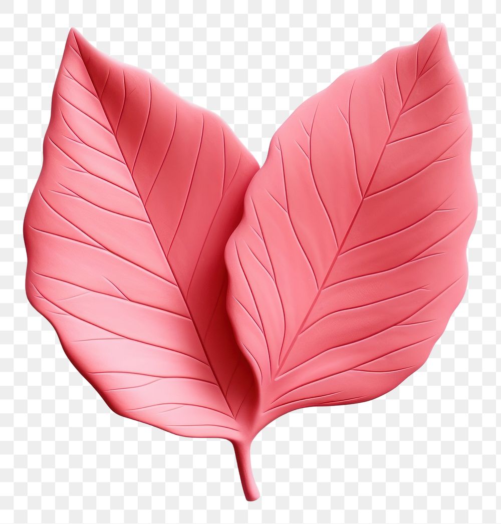 PNG Sticker leaf petal plant. AI generated Image by rawpixel.
