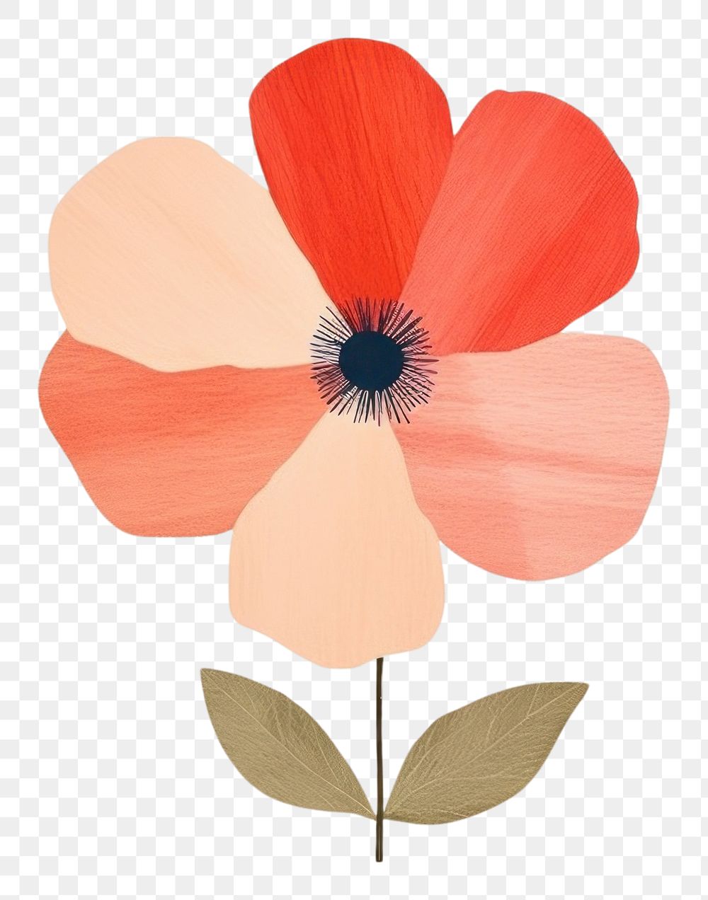 PNG  Flower petal poppy plant. AI generated Image by rawpixel.