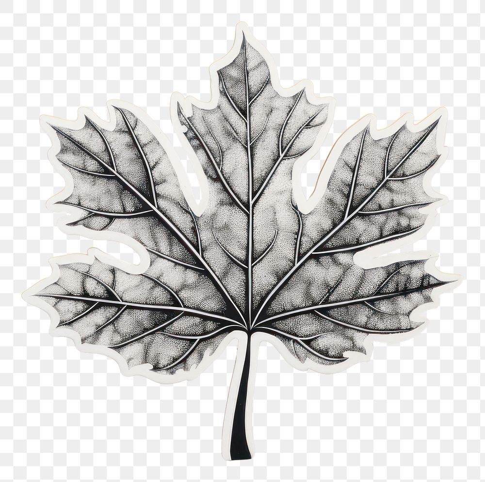 Plant leaf tree pattern. AI generated Image by rawpixel.