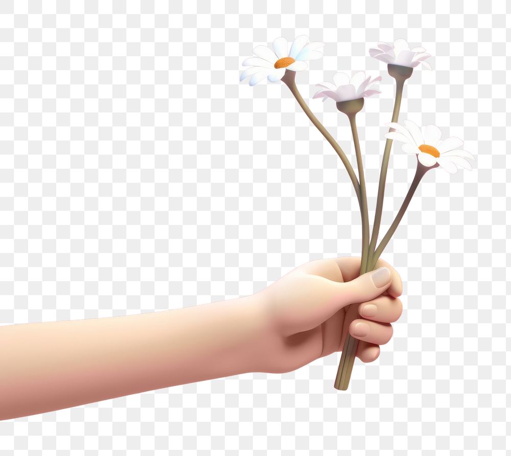 PNG Hand giving flowers petal plant daisy. AI generated Image by rawpixel.