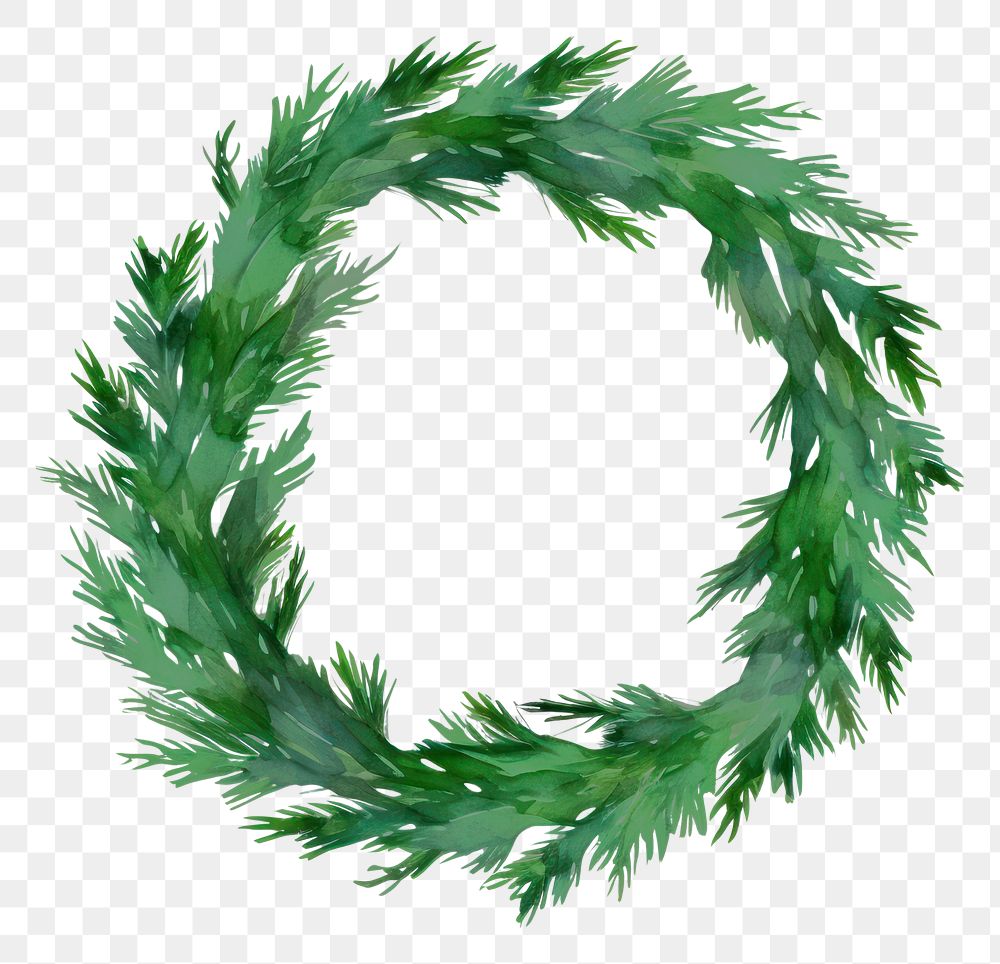 PNG Christmas Pine Wreath wreath plant white background. AI generated Image by rawpixel.