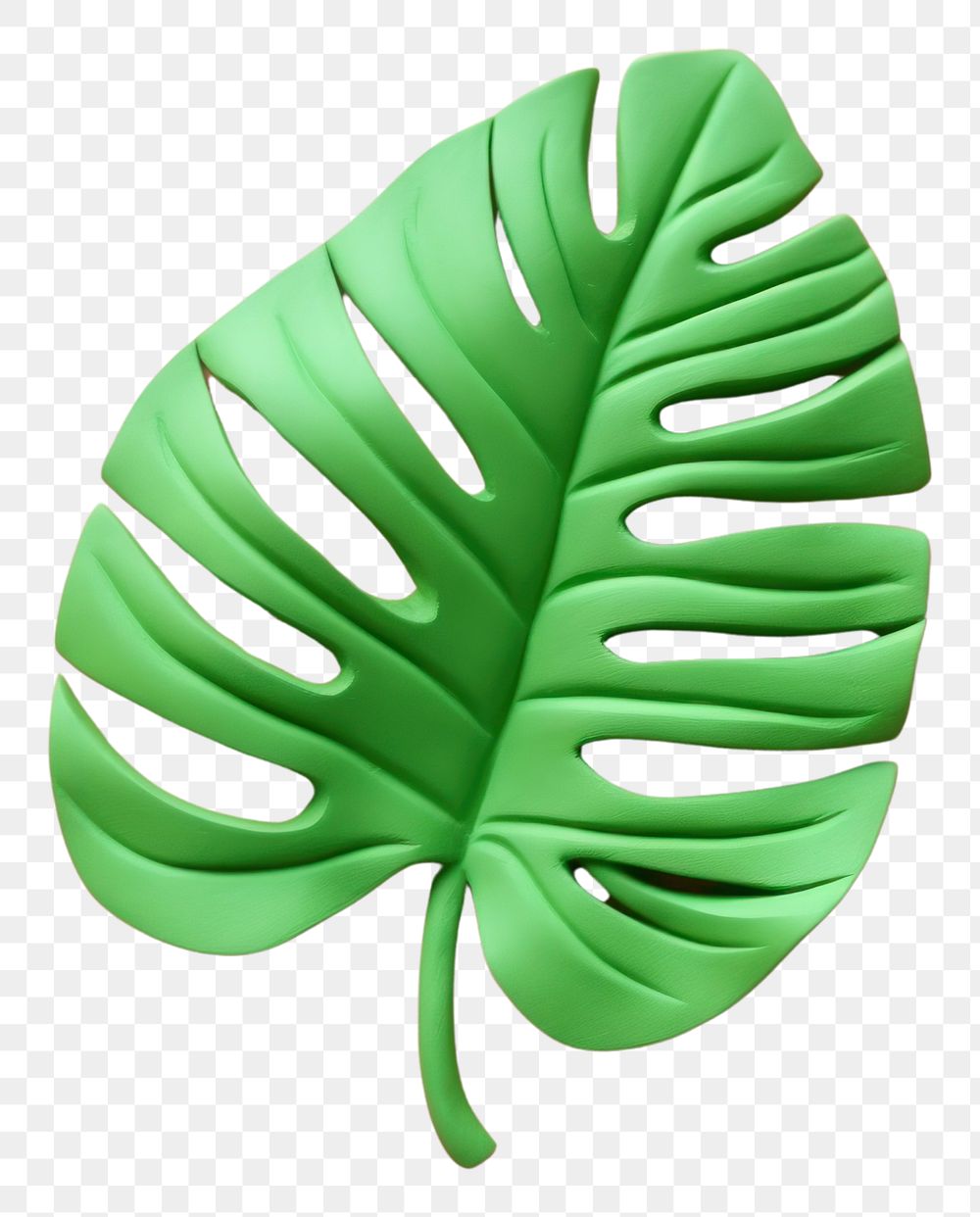 PNG Tropical leaf plant accessories accessory. 