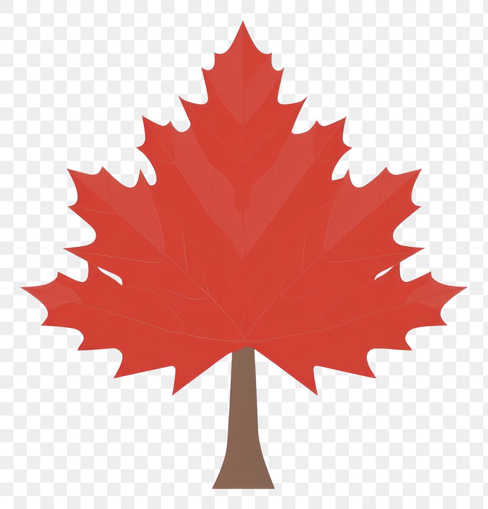 PNG Red maple plant tree leaf. AI generated Image by rawpixel.