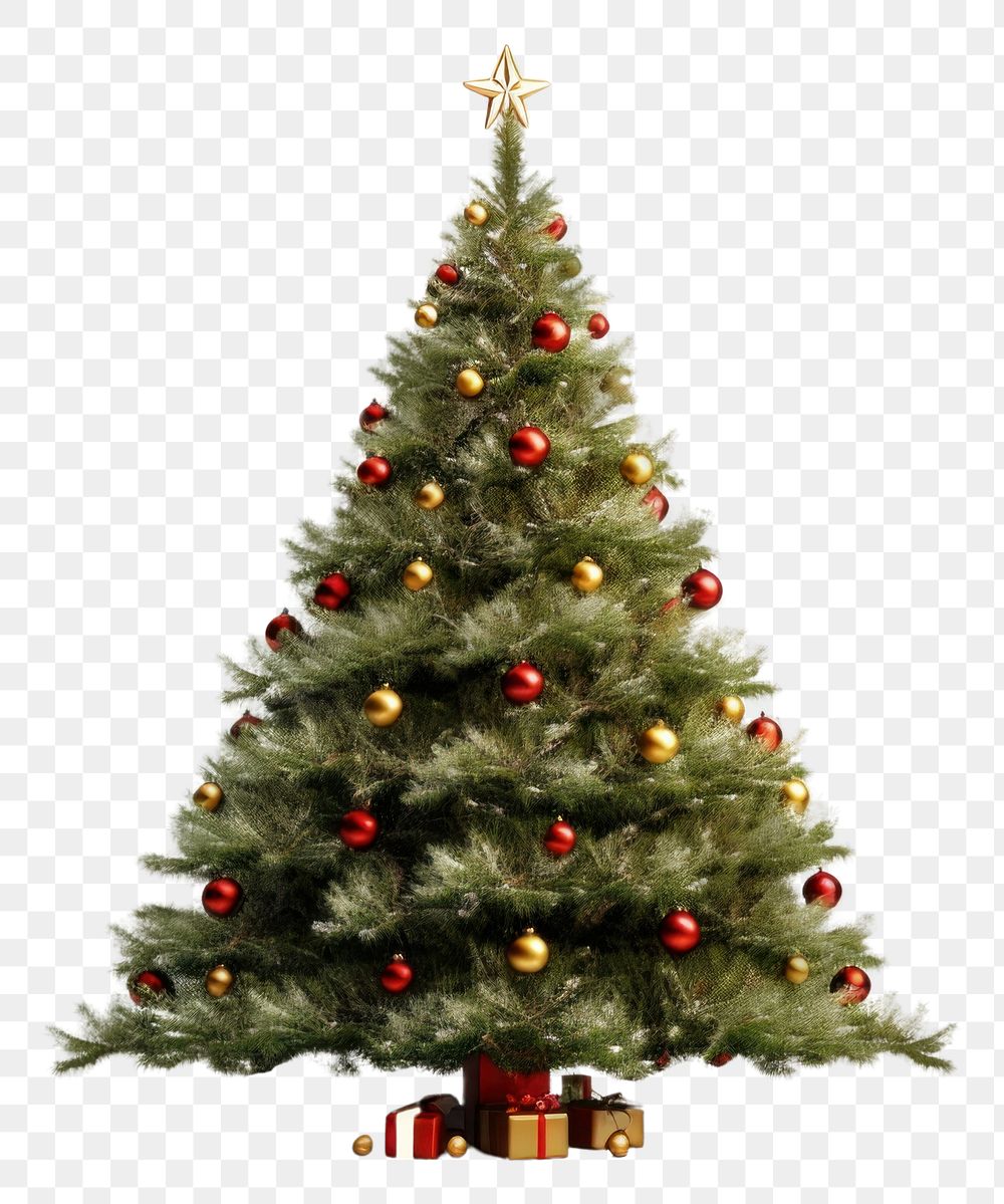 PNG Christmas plant tree pine