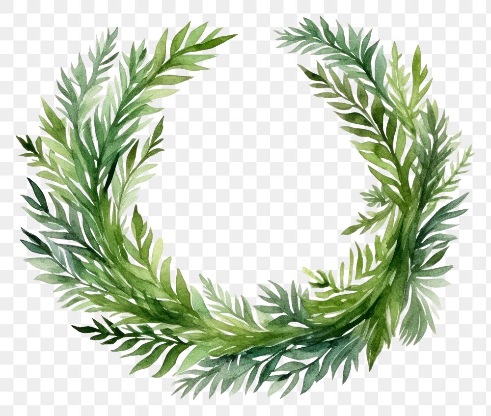 PNG Christmas wreath green plant leaf. AI generated Image by rawpixel.