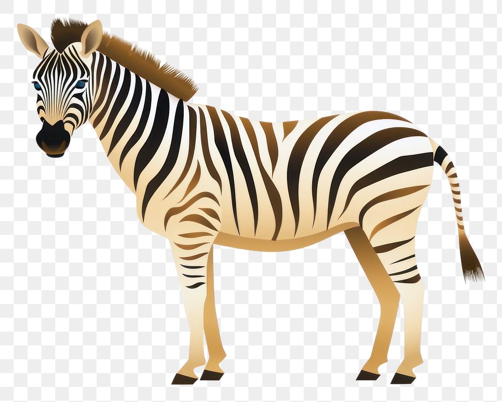 PNG Safari animal wildlife mammal zebra. AI generated Image by rawpixel.