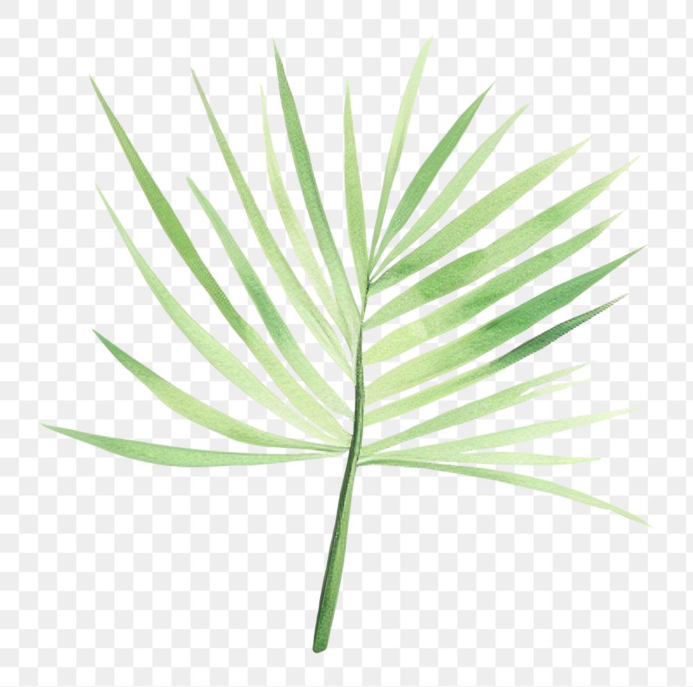 PNG  Jungle plant leaf backgrounds. AI generated Image by rawpixel.