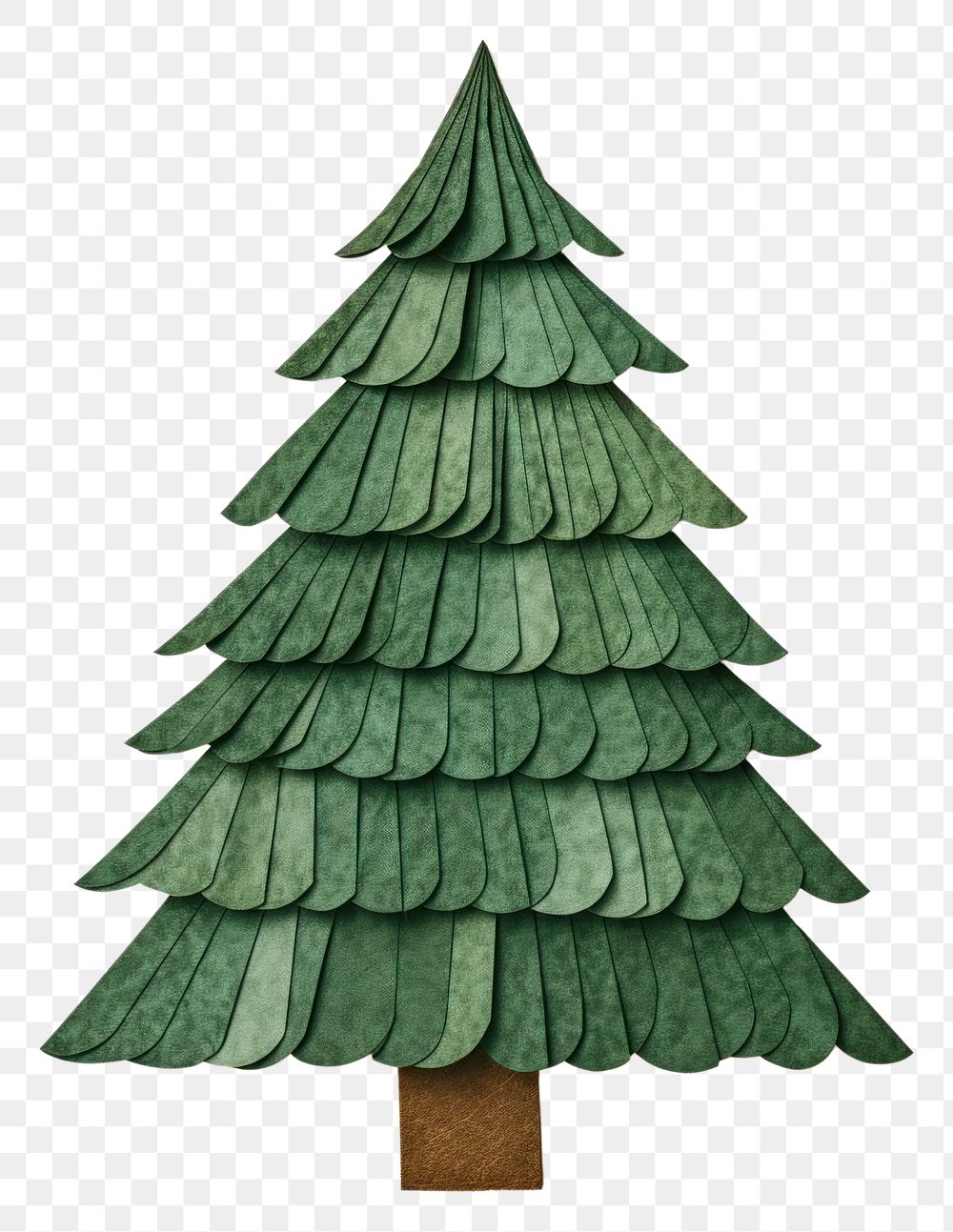 PNG  Christmas tree christmas plant green