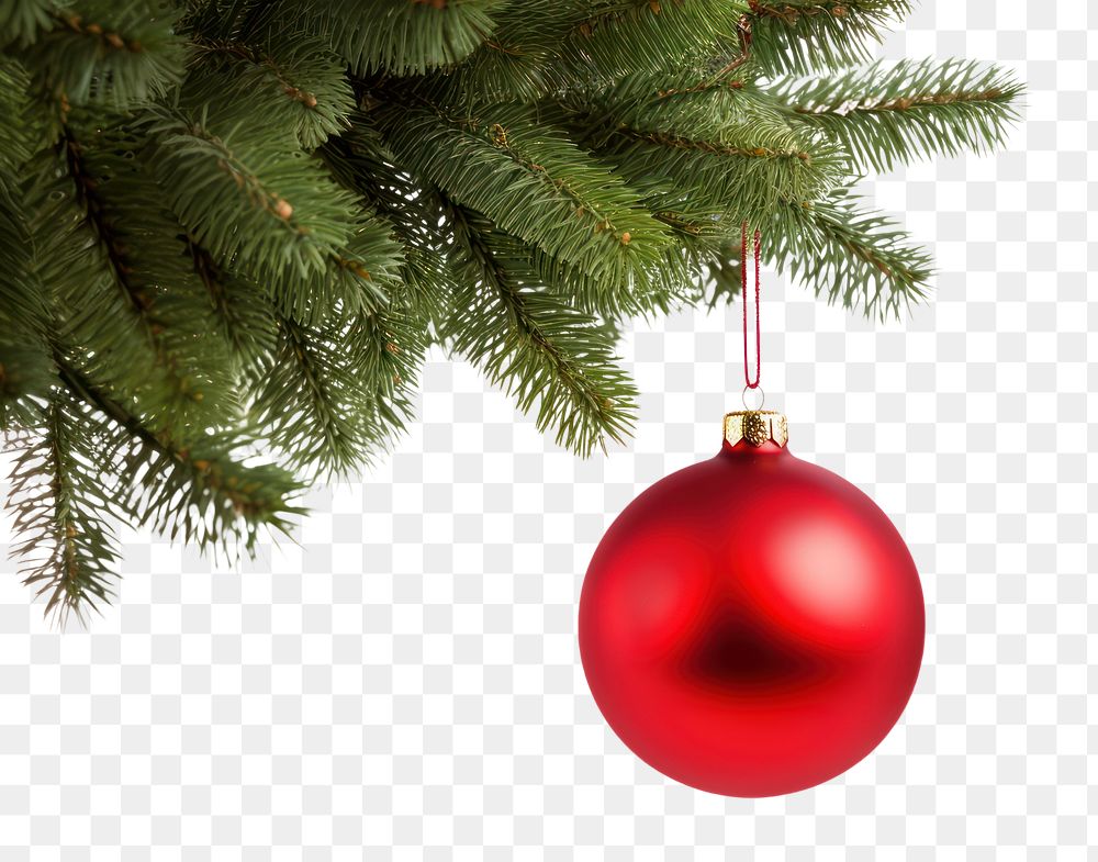 PNG  Christmas tree hanging branch. 