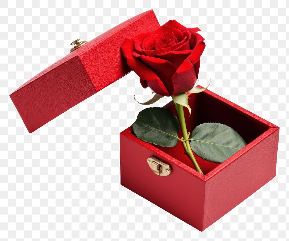 PNG Gift rose box flower. AI generated Image by rawpixel.