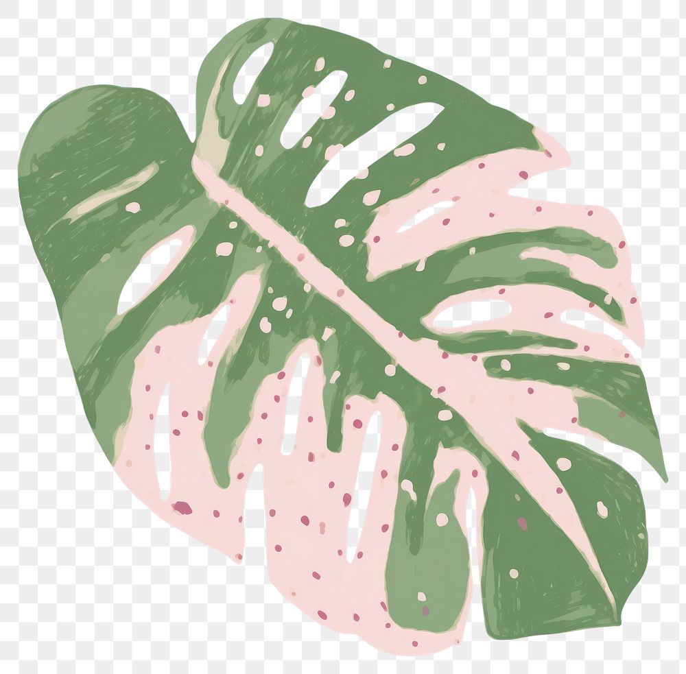 PNG Monstera leaf plant xanthosoma pattern. AI generated Image by rawpixel.