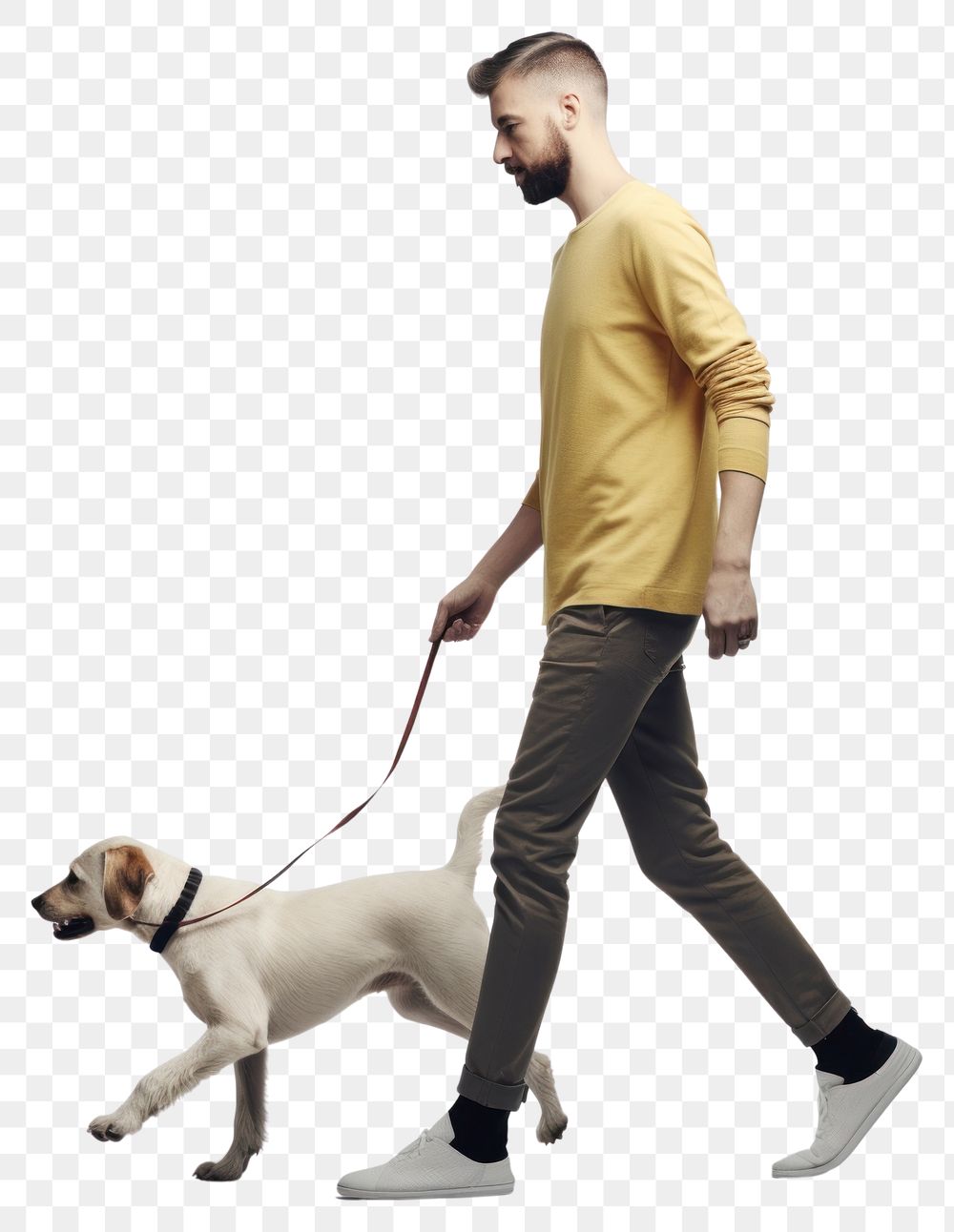 PNG Walking dog mammal animal. AI generated Image by rawpixel.