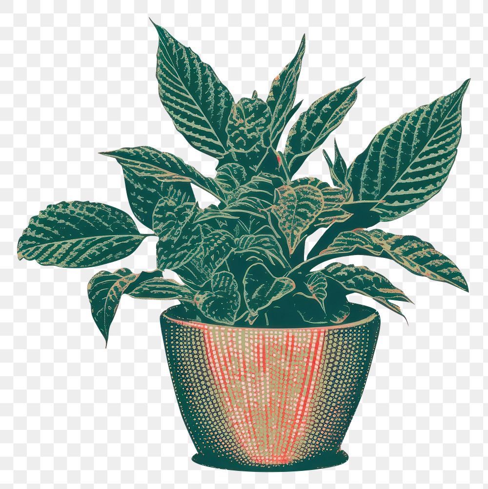 PNG Plant herbs leaf creativity. AI generated Image by rawpixel.