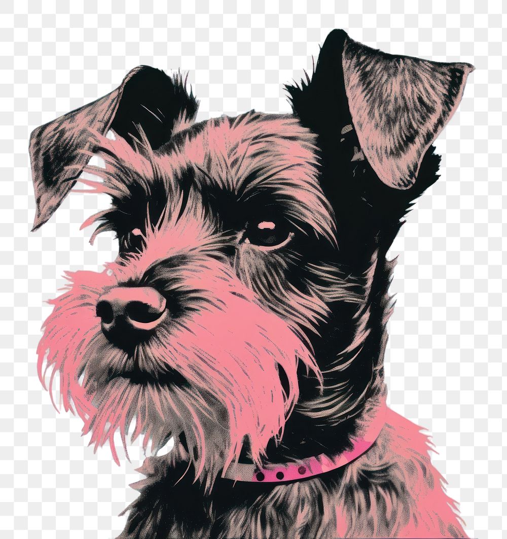 PNG Cesky Terrier dog terrier mammal animal. AI generated Image by rawpixel.