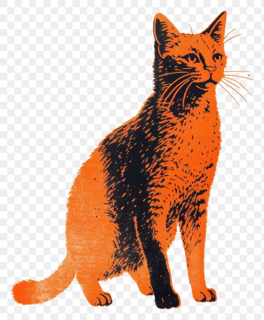 PNG Orange cat animal mammal pet. AI generated Image by rawpixel.