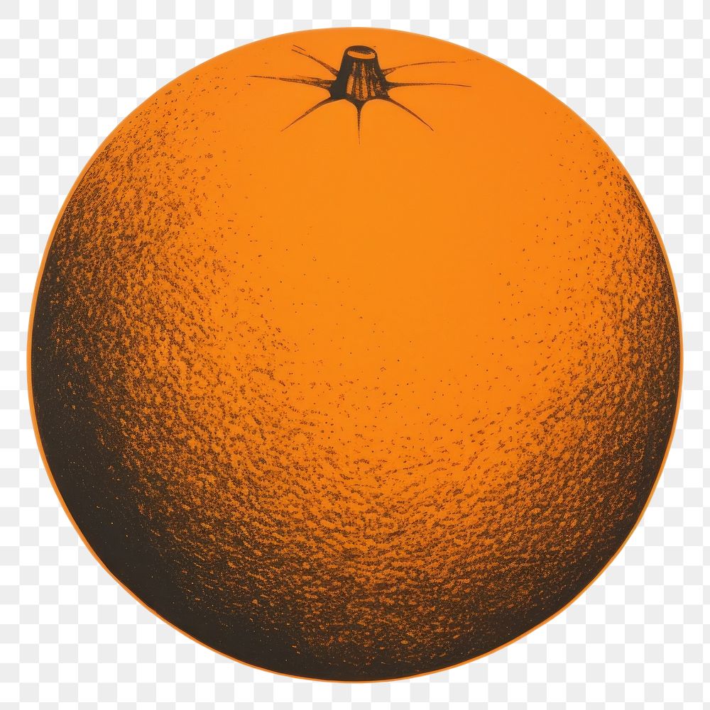 PNG Orange fruit invertebrate astronomy outdoors. AI generated Image by rawpixel.
