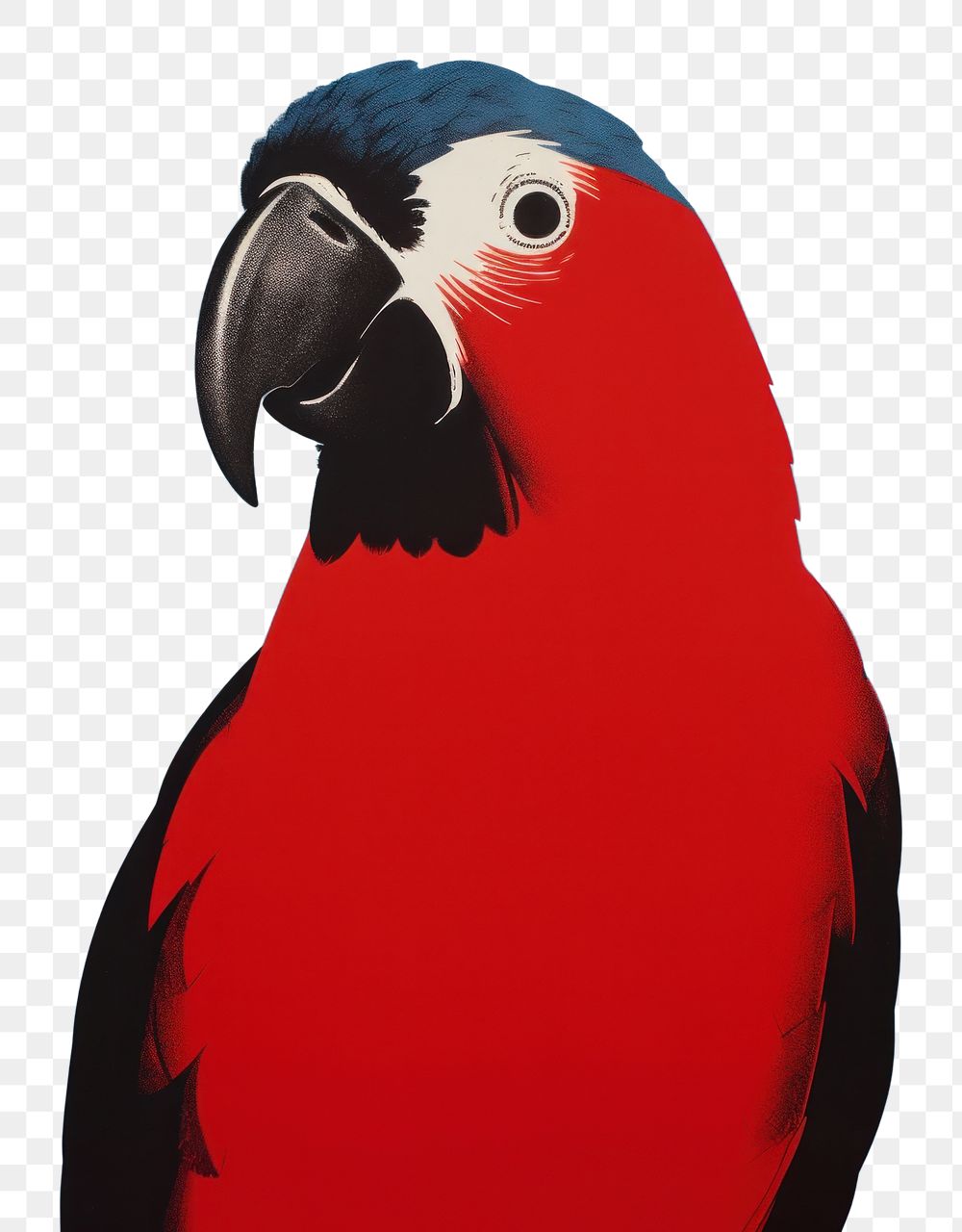 PNG Parrot animal black bird. AI generated Image by rawpixel.