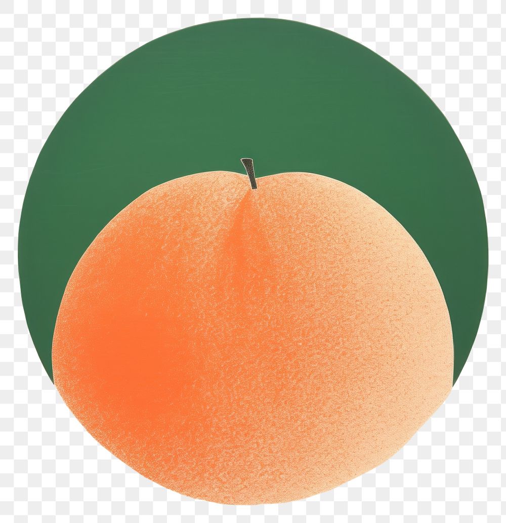 PNG Peach orange green grapefruit. AI generated Image by rawpixel.