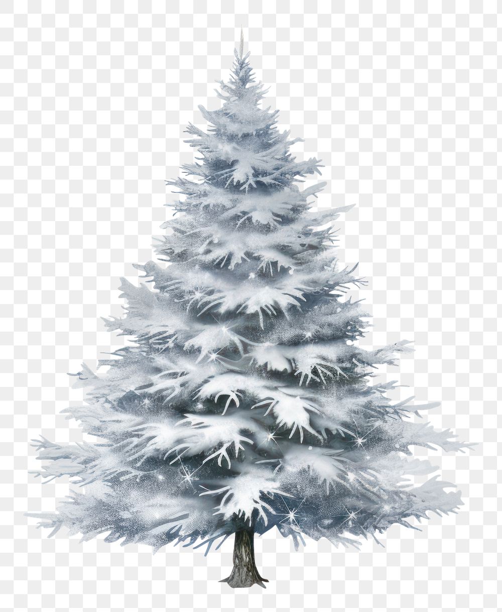 PNG  Snowy christmas tree plant white fir. AI generated Image by rawpixel.