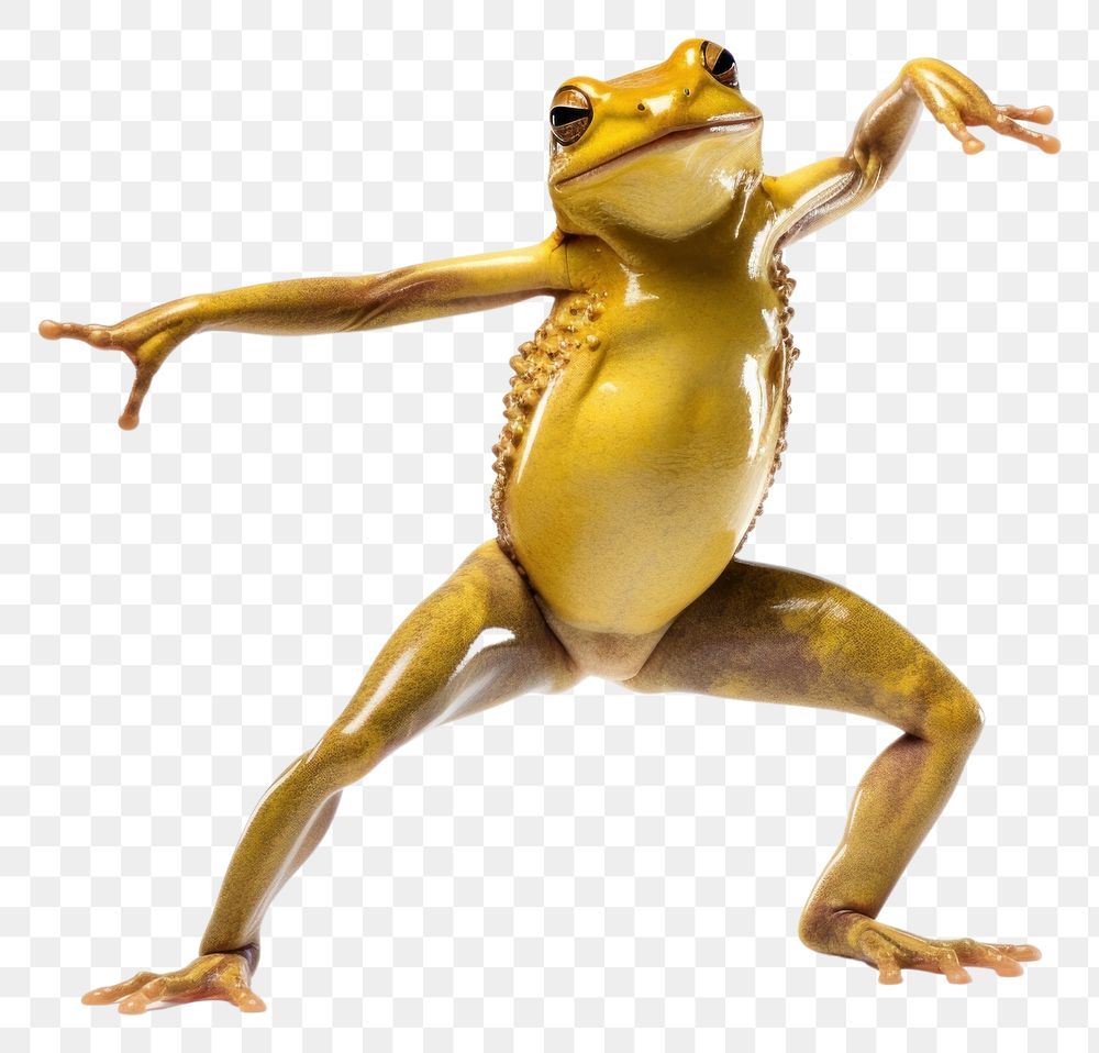 PNG Happy smiling frog dancing amphibian wildlife animal. AI generated Image by rawpixel.