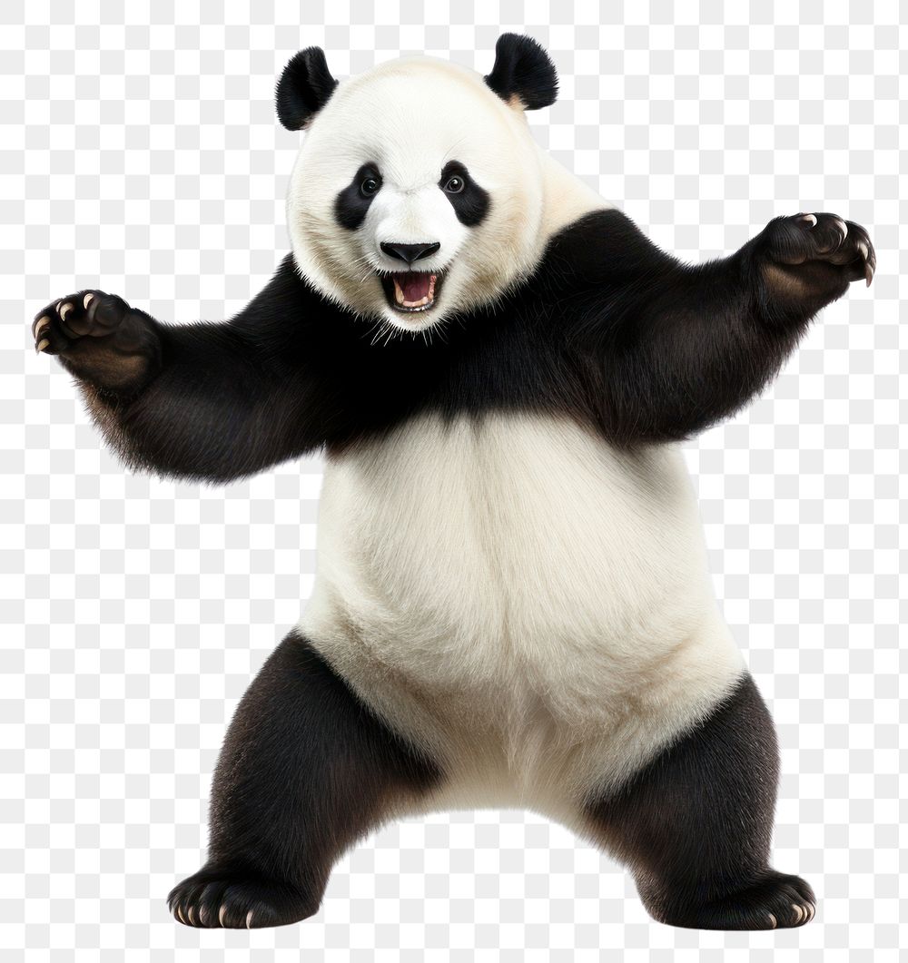 PNG Happy smiling panda dancing wildlife mammal animal. AI generated Image by rawpixel.