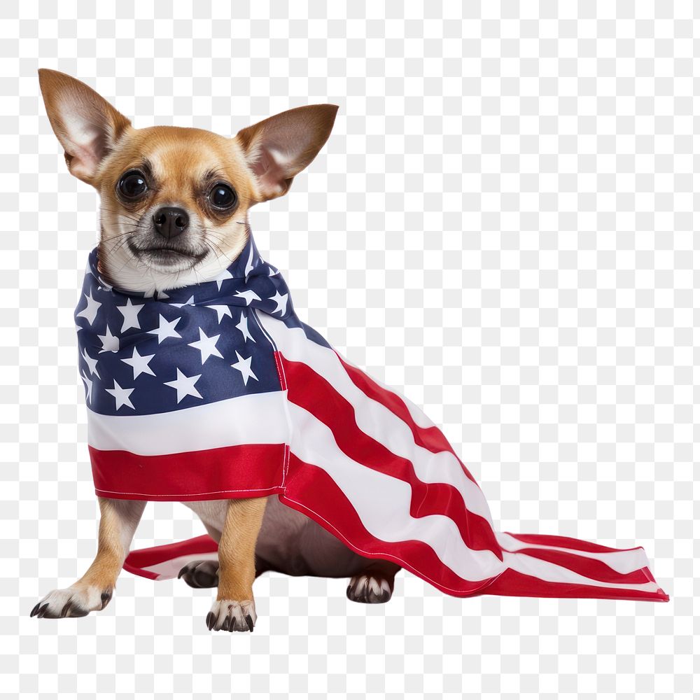 PNG  America flag dog mammal animal. AI generated Image by rawpixel.
