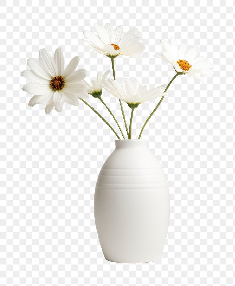PNG Aesthetic flower vase daisy plant white. AI generated Image by rawpixel.