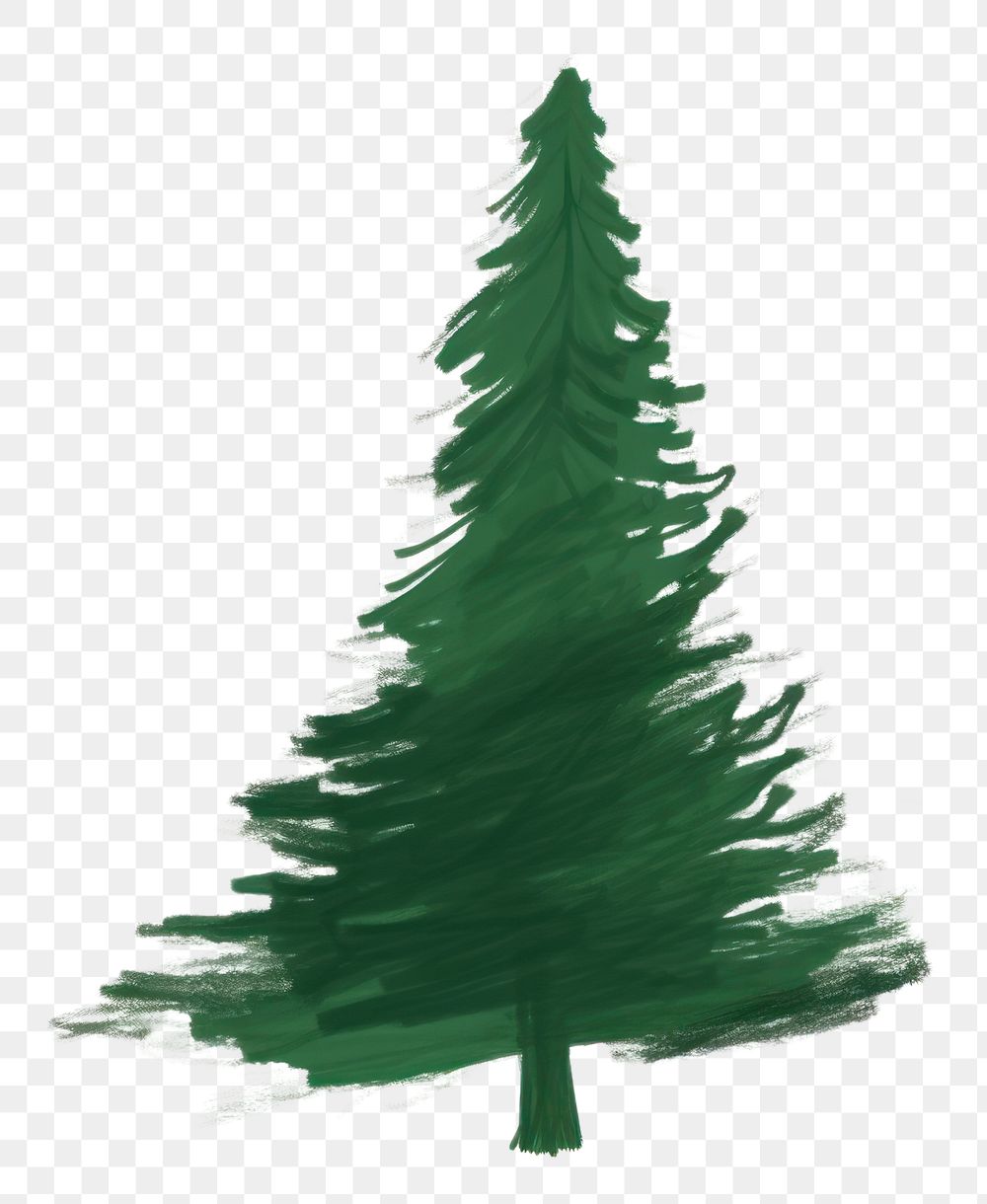 PNG Christmas Tree christmas tree drawing. AI generated Image by rawpixel.