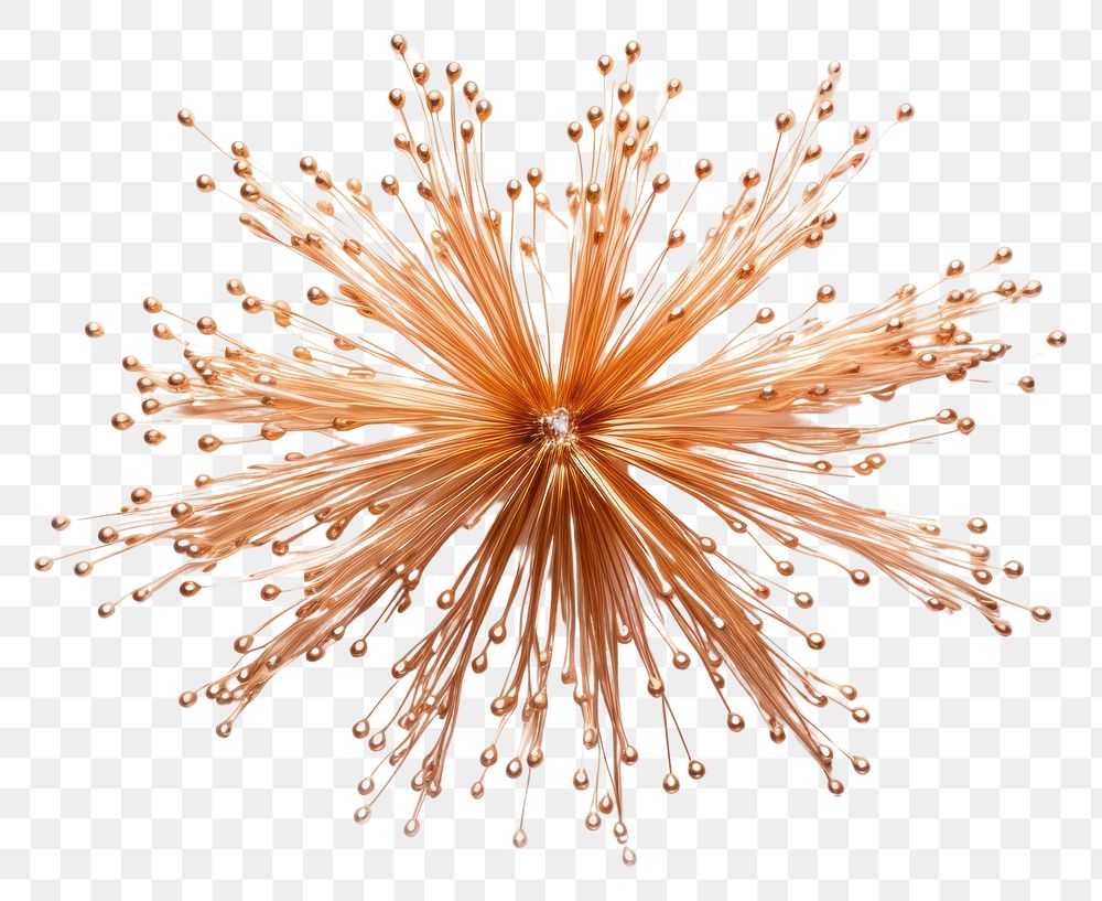 PNG Fireworks echinoderm chandelier exploding. AI generated Image by rawpixel.