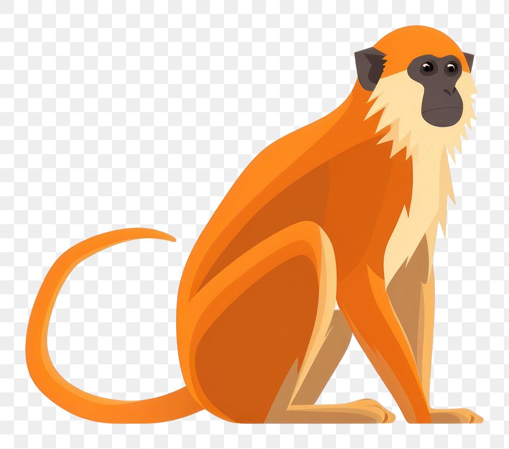 PNG A Patas Monkey monkey wildlife animal. AI generated Image by rawpixel.