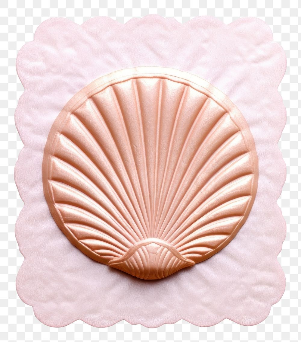 PNG Shell invertebrate seashell pattern. AI generated Image by rawpixel.