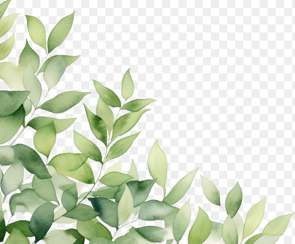 Green leaves backgrounds pattern plant