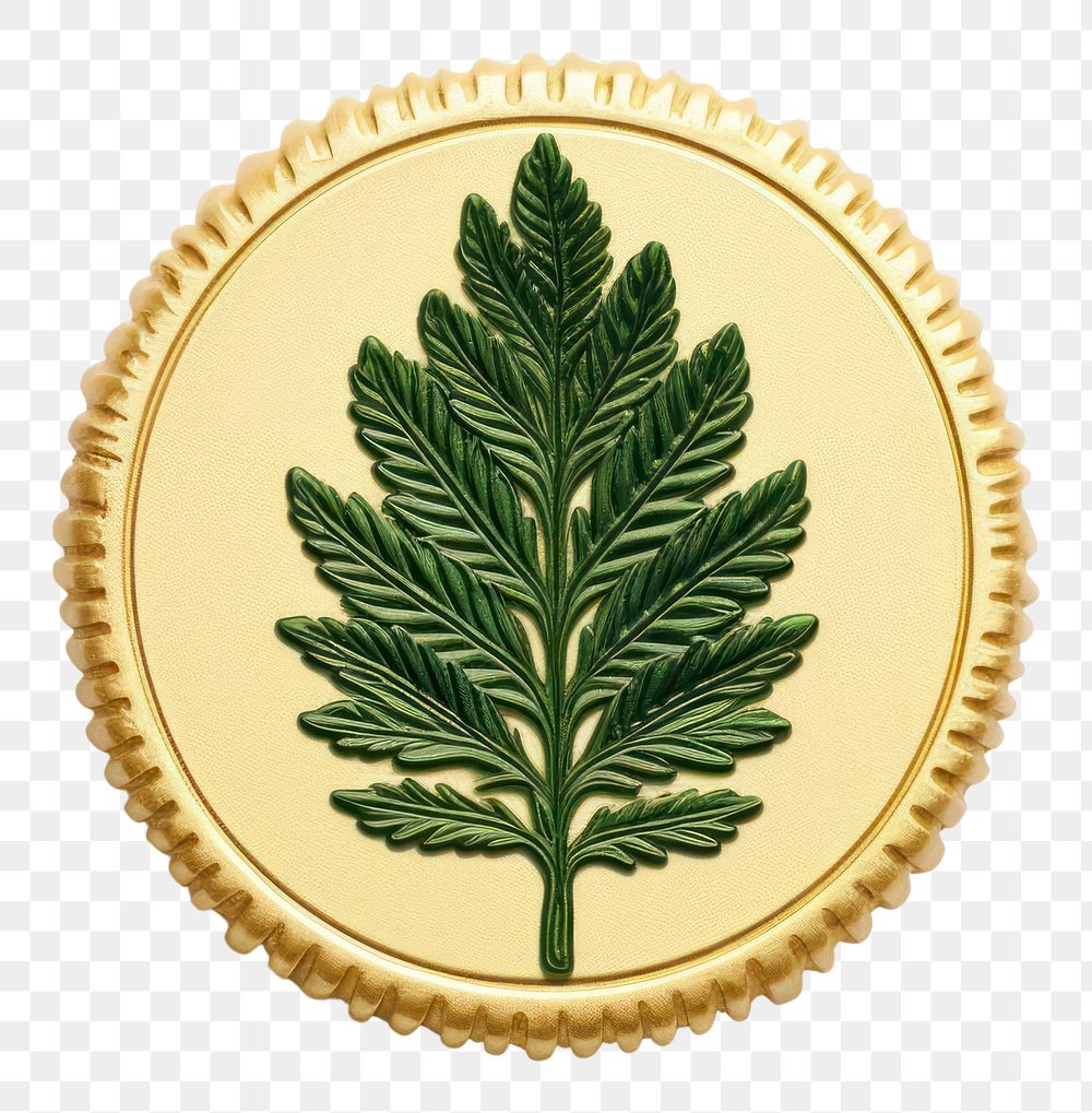 PNG Fern leaf jewelry plant gold. AI generated Image by rawpixel.