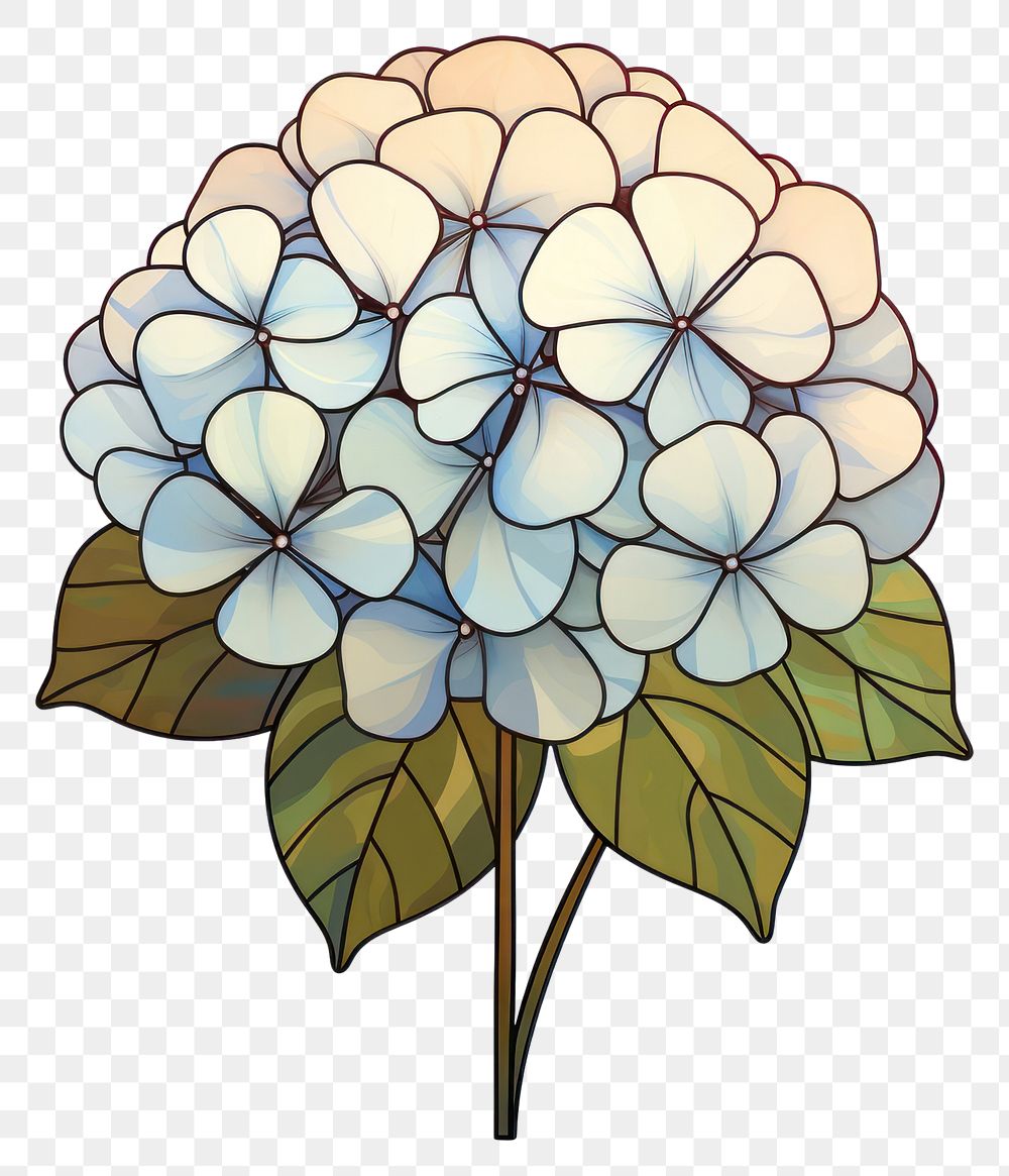 PNG  Glass Hydrangea hydrangea flower plant. AI generated Image by rawpixel.