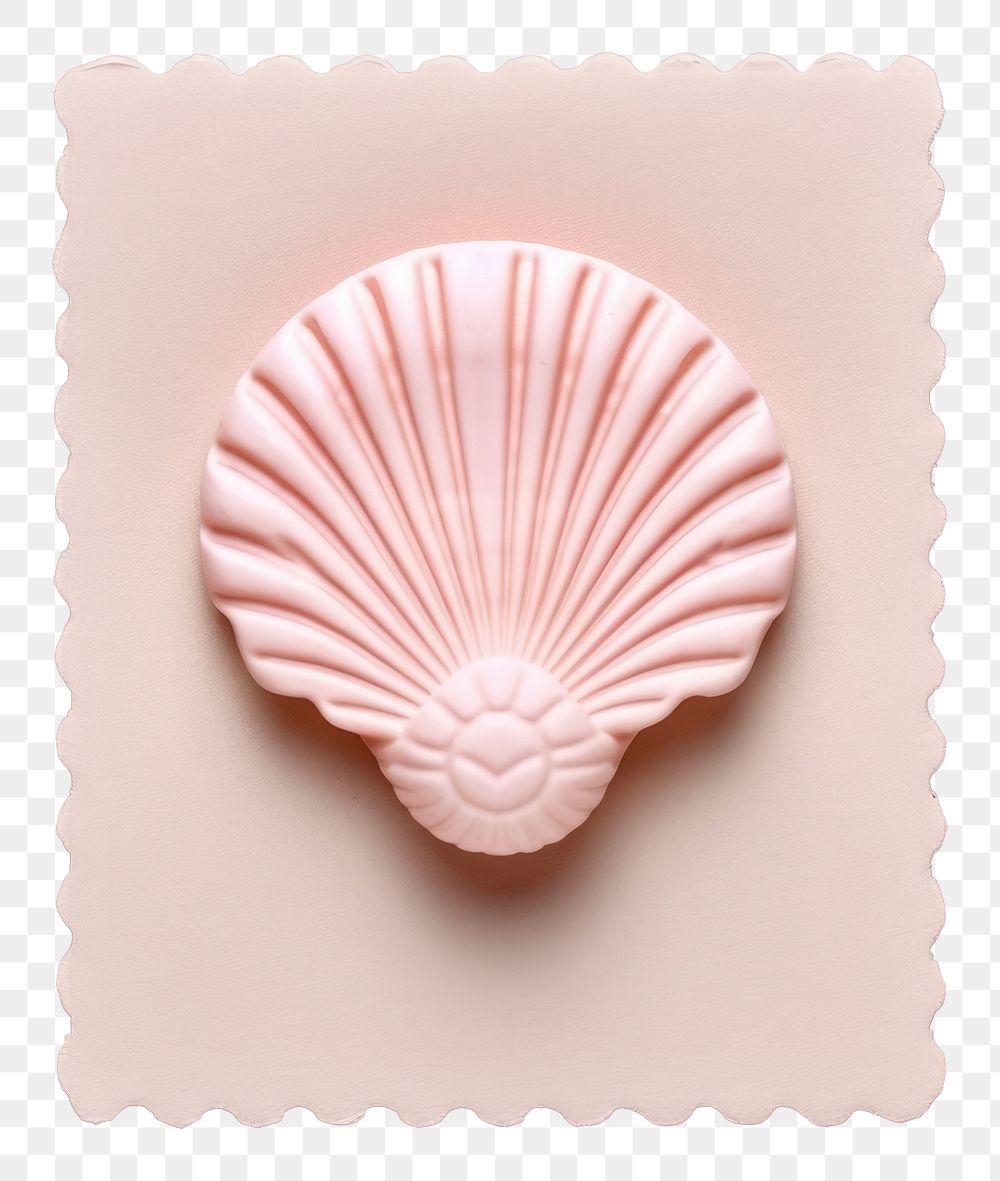 PNG Cute shell invertebrate seashell pattern. AI generated Image by rawpixel.