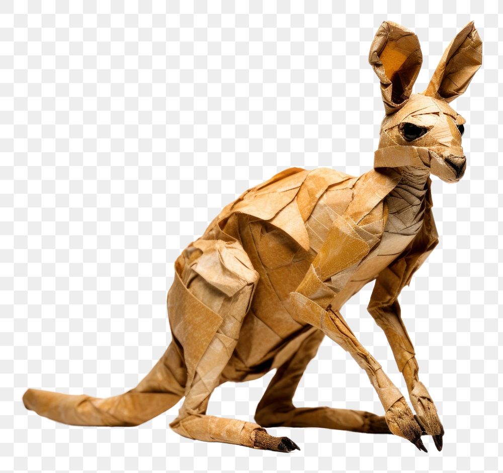 PNG Kangaroo animal mammal paper. AI generated Image by rawpixel.