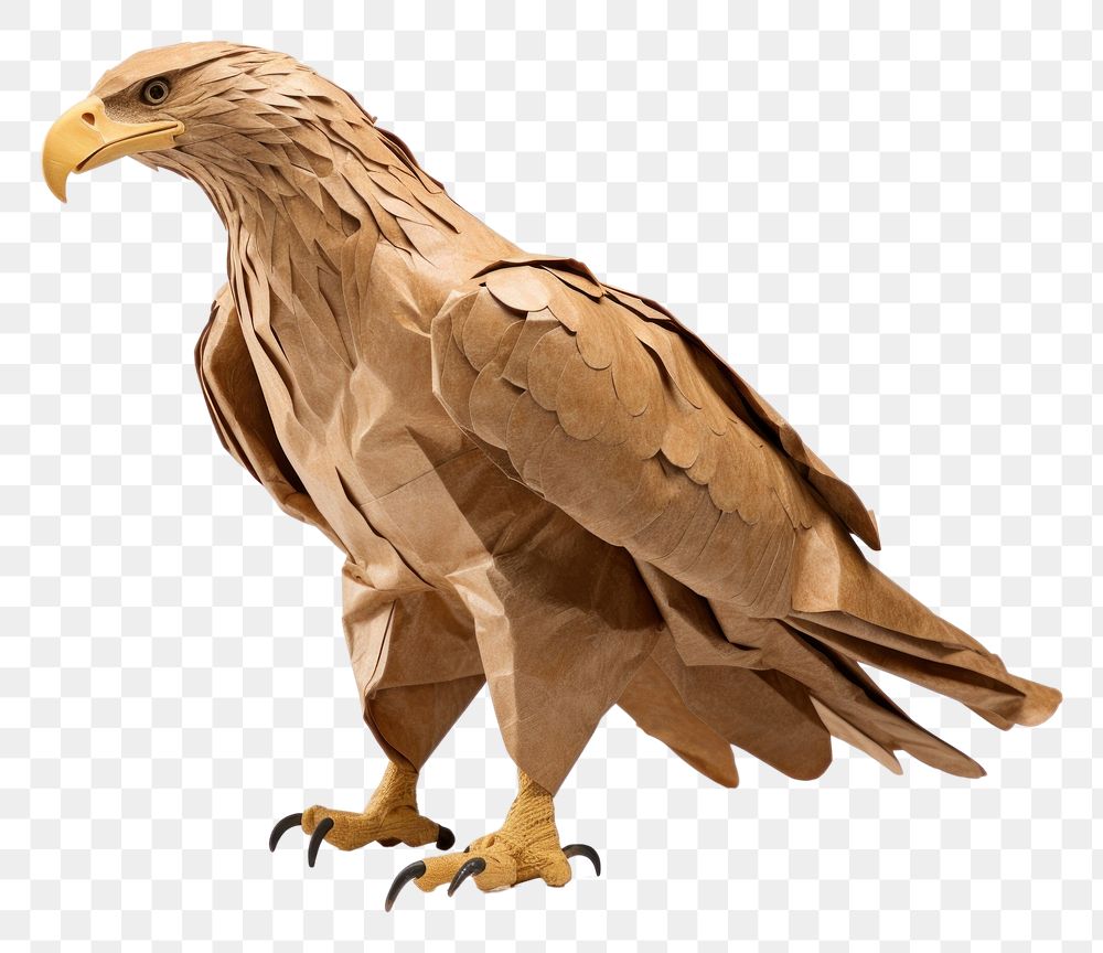 PNG Eagle buzzard vulture animal. AI generated Image by rawpixel.