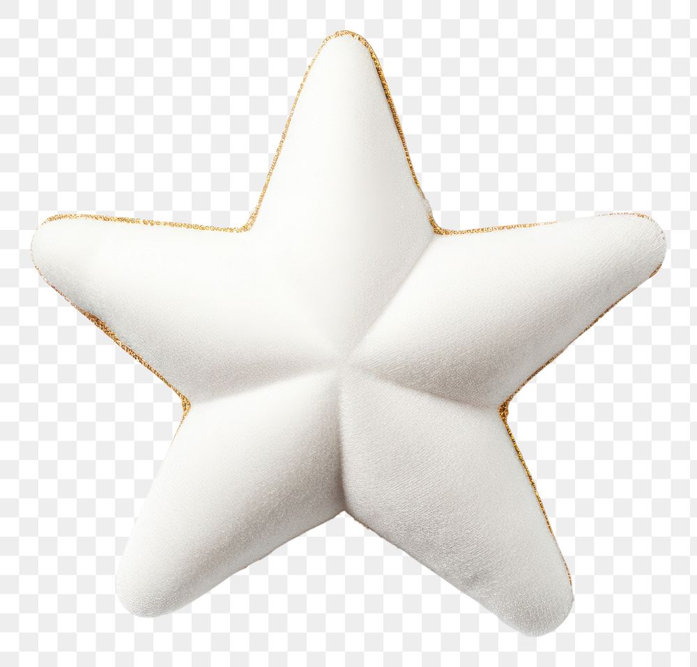 PNG Simplicity echinoderm christmas starfish. AI generated Image by rawpixel.