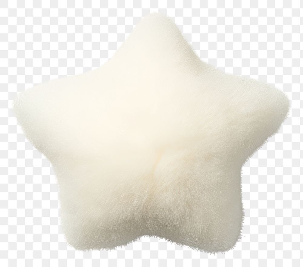 PNG Mammal echinoderm softness textile. AI generated Image by rawpixel.