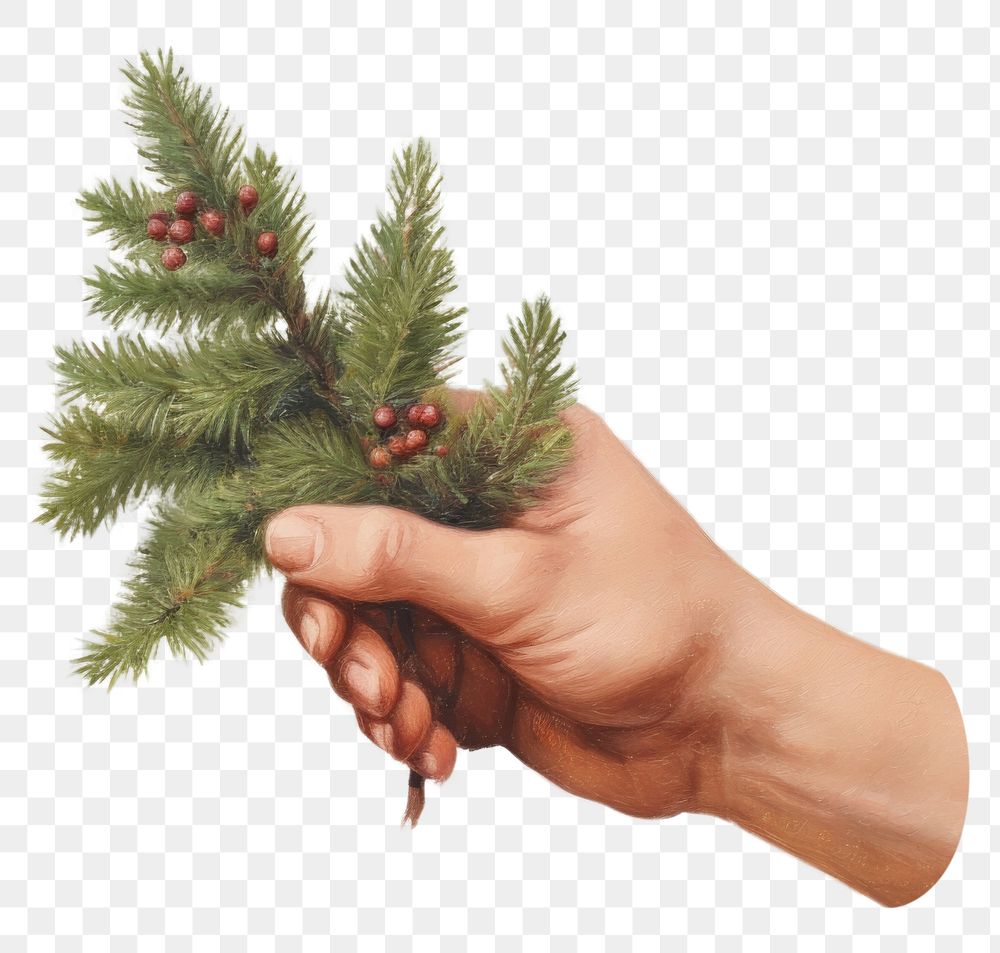 PNG Christmas tree hand holding