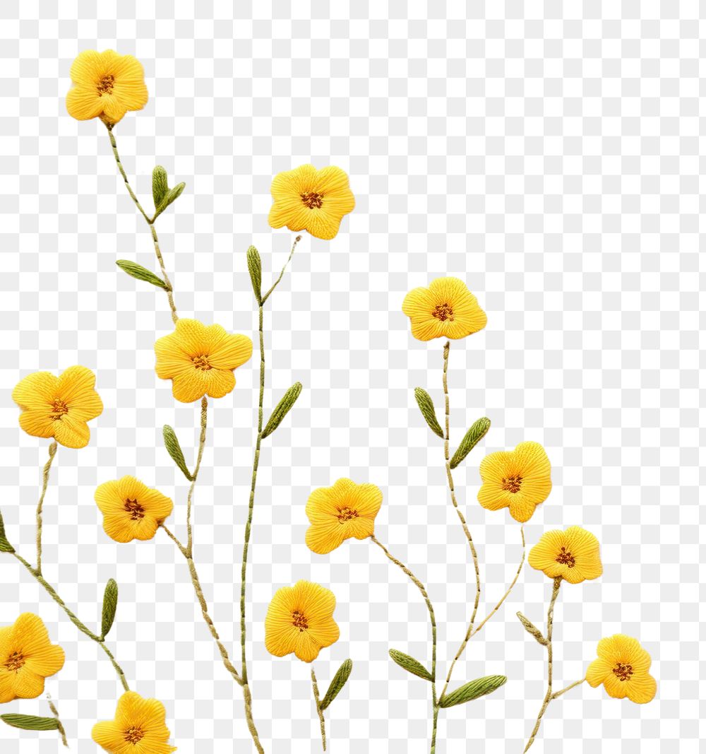 PNG Little Buttercup flowers pattern backgrounds embroidery. AI generated Image by rawpixel.