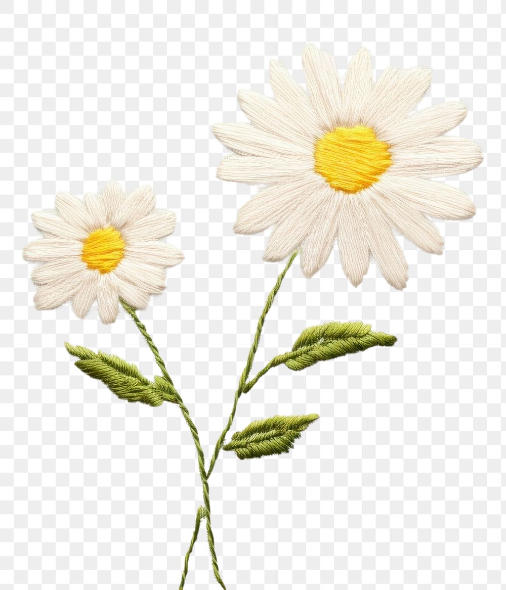 PNG Little white Daisy pattern daisy embroidery. AI generated Image by rawpixel.