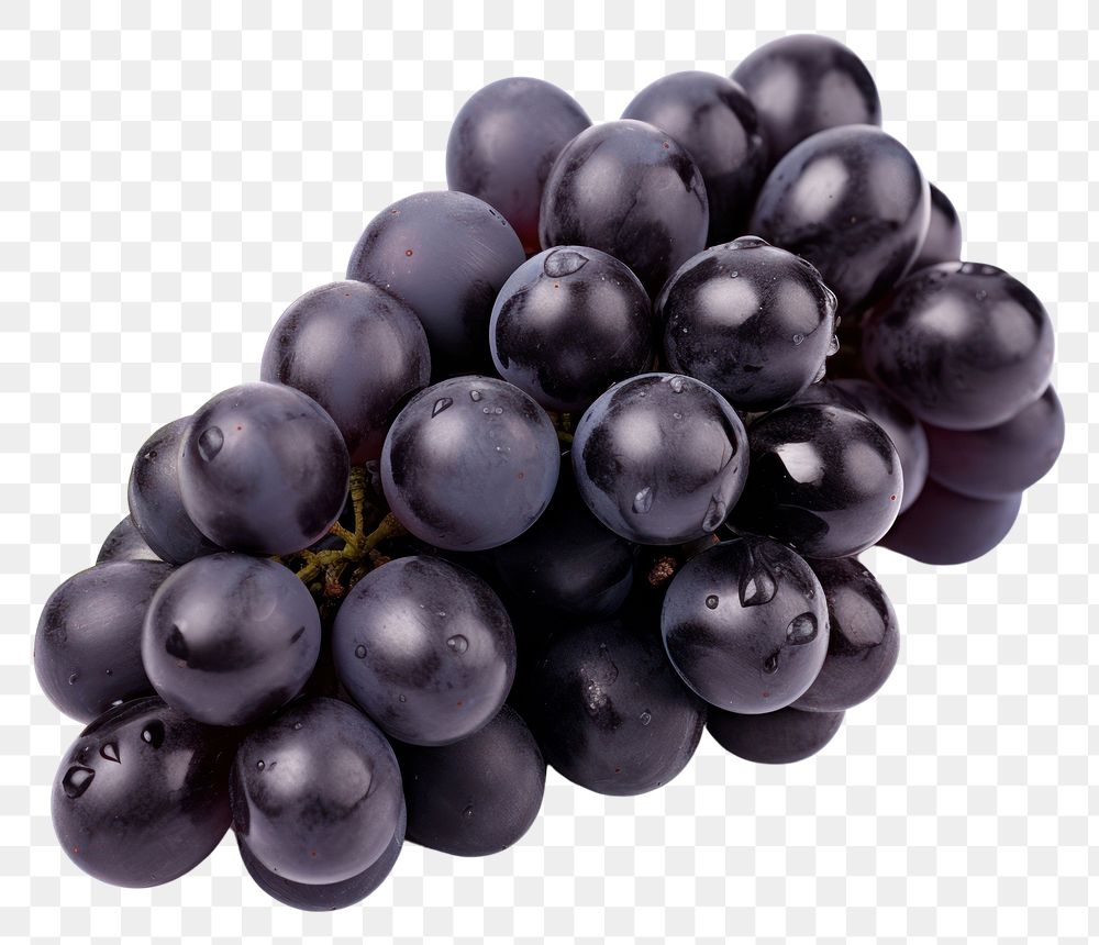 PNG  Black grapes fruit berry plant